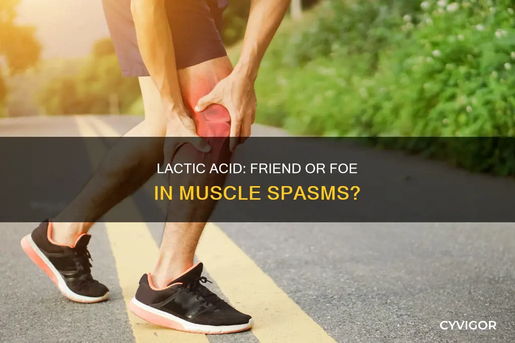 does lactic acid cause muscle spasms