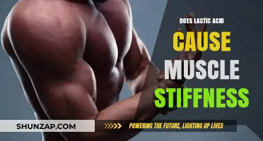 Lactic Acid: Friend or Foe in Muscle Stiffness?