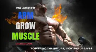 Lactic Acid in Arms: Does It Really Build Muscle?