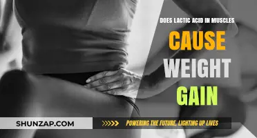 Lactic Acid and Weight Gain: Myth or Muscle Reality?