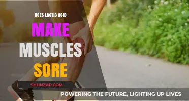 Lactic Acid and Muscle Soreness: Debunking the Post-Workout Myth