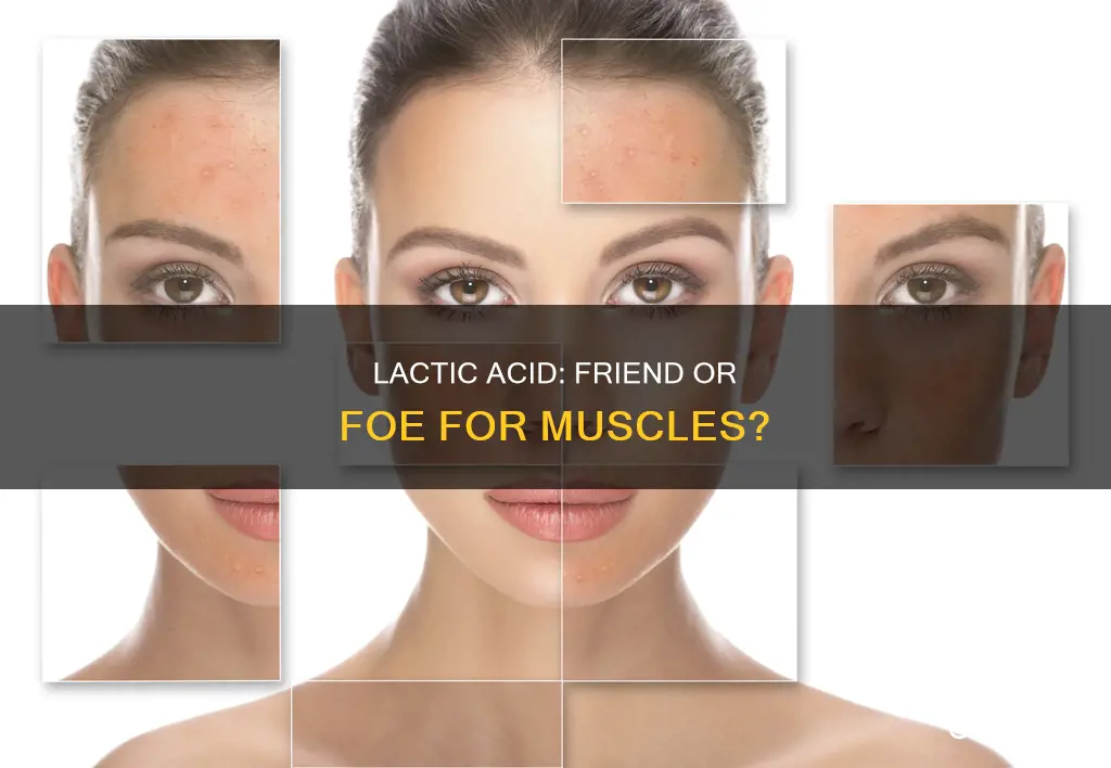 does lactice acid cause your muscles to inflame