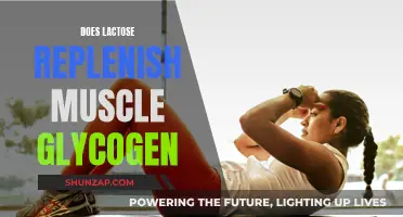 Lactose and Muscle Recovery: Replenishing Glycogen Stores?