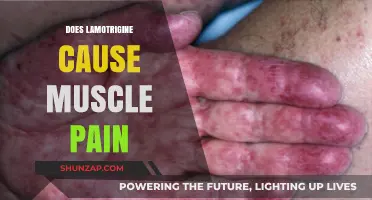 Lamotrigine Side Effects: Muscle Pain Explained