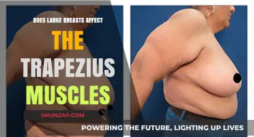 Exploring the Connection: Breast Size and Trapezius Muscle Health