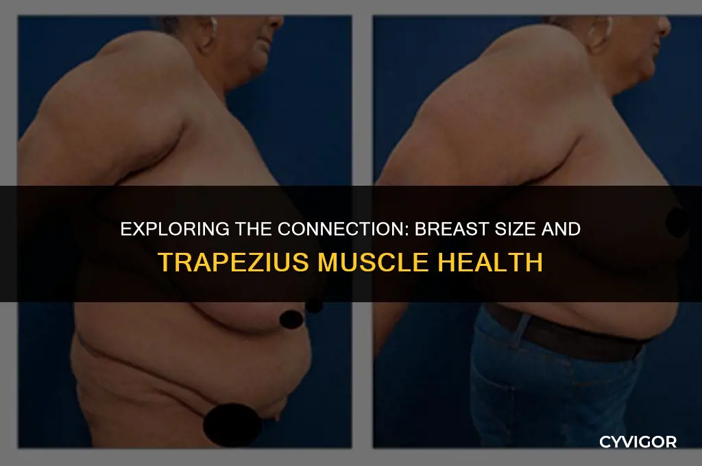 does large breasts affect the trapezius muscles