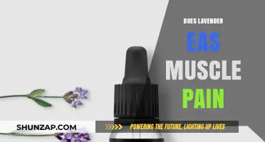 Lavender's Soothing Power: Can It Relieve Muscle Pain Naturally?