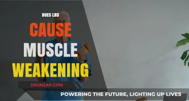 LBD's Impact: Muscle Weakening and Movement