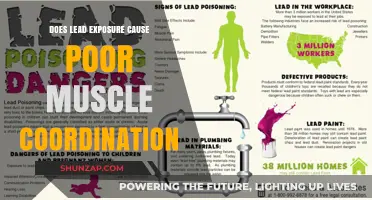 Lead Exposure: Poor Muscle Coordination Culprit?