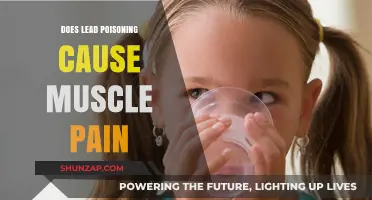 Lead Poisoning: Muscle Pain and Its Link
