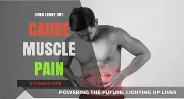 Leaky Gut and Muscle Pain: Is There a Link?
