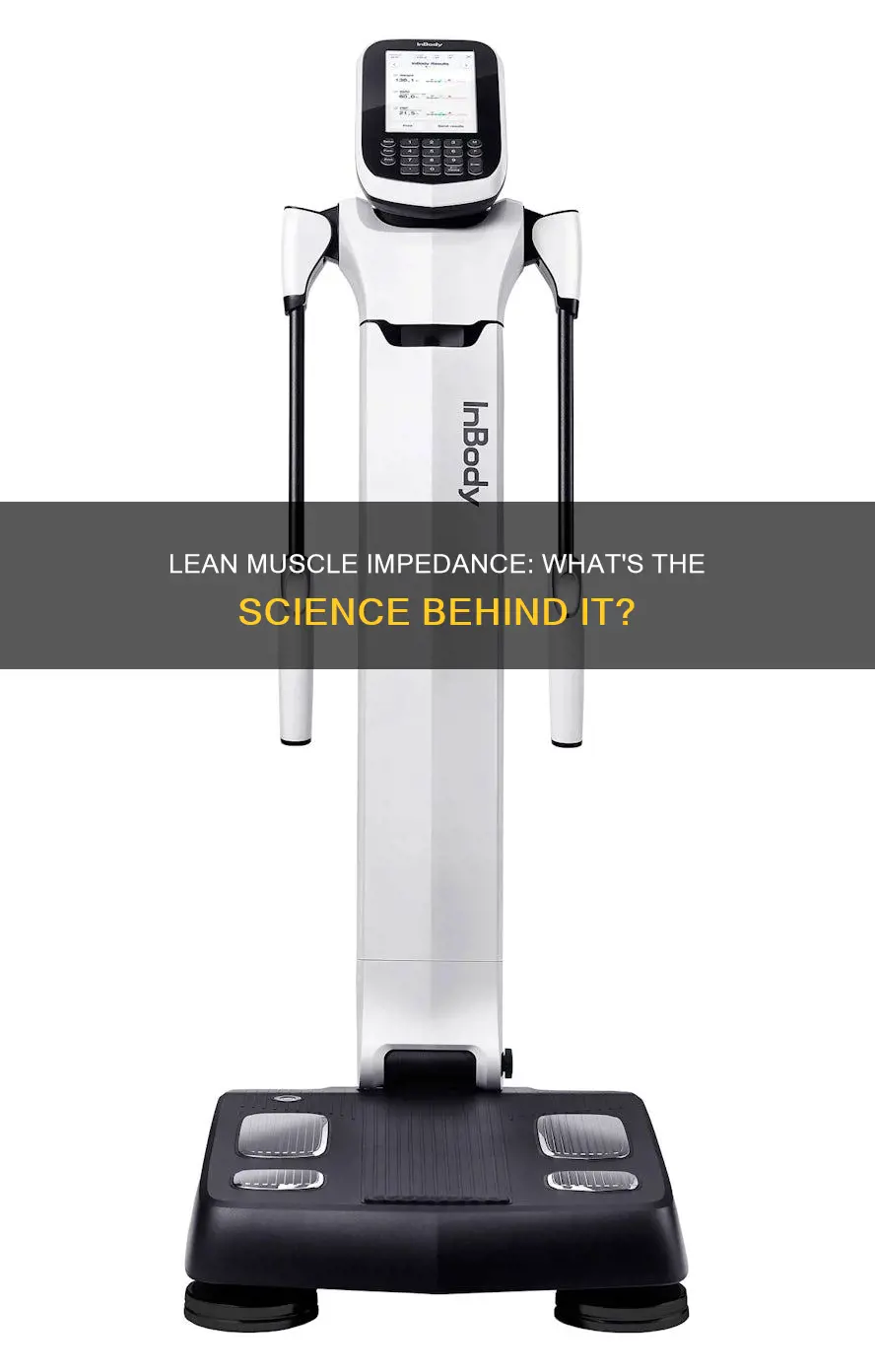does lean muscle have impedance