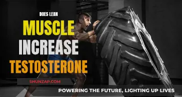 Lean Muscle and Testosterone: What's the Connection?