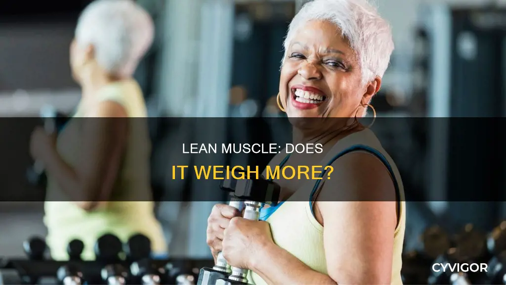 does lean muscle weigh more