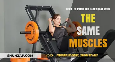 Leg Press vs. Hack Squat: Which Muscles Do They Target?