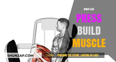Unlocking Muscle Growth: The Power of Leg Press Exercises