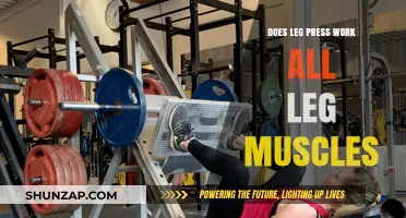 Leg Press Benefits: Targeting All Leg Muscles Effectively?