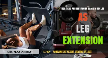 Leg Presses vs. Leg Extensions: Targeting the Same Muscles?