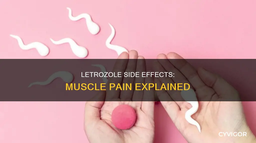 does letrozole cause muscle pain