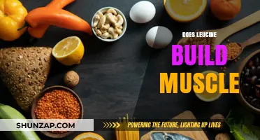 Unlocking Muscle Growth: The Power of Leucine in Your Diet