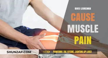 Leukemia and Muscle Pain: Is There a Link?