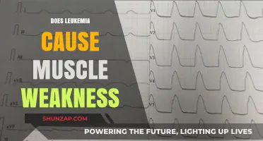 Leukemia's Impact: Muscle Weakness and Fatigue