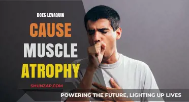 Levaquin's Link to Muscle Atrophy: What You Need to Know