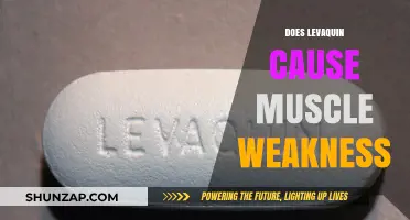 Levaquin Side Effects: Muscle Weakness Explained