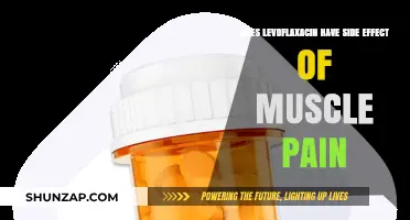Levofloxacin and Muscle Pain: Understanding Potential Side Effects