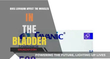 Exploring Levofloxacin's Impact on Bladder Muscle Function