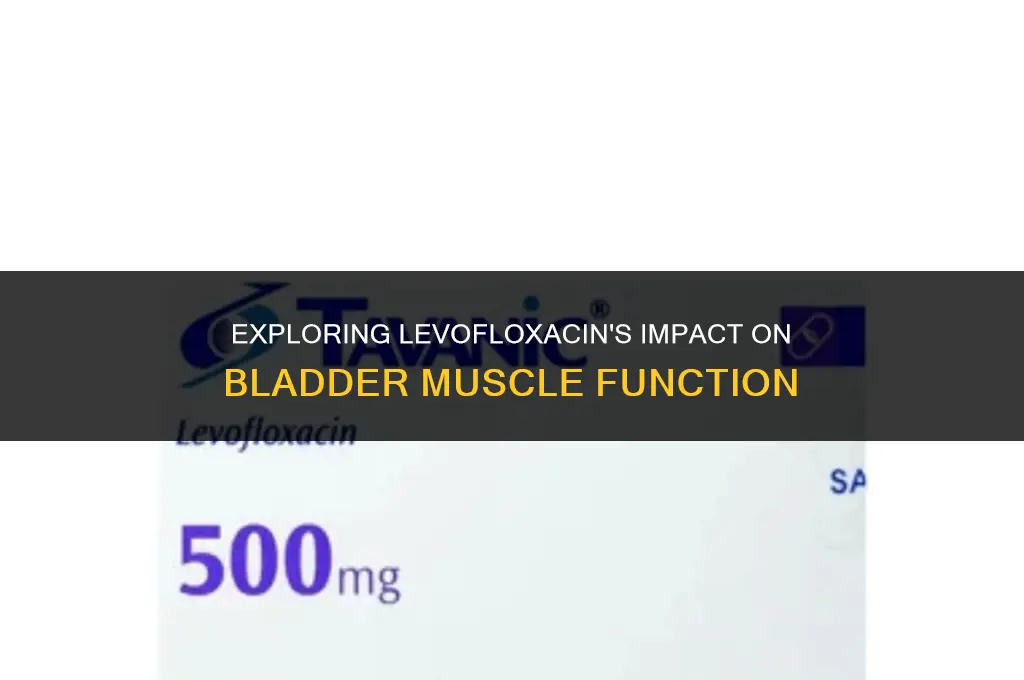 does levoquin affect the muscles in the bladder