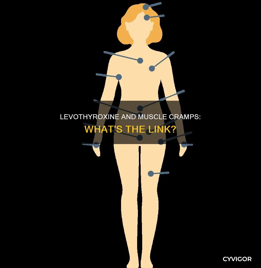 does levothroxine cause muscle cramping