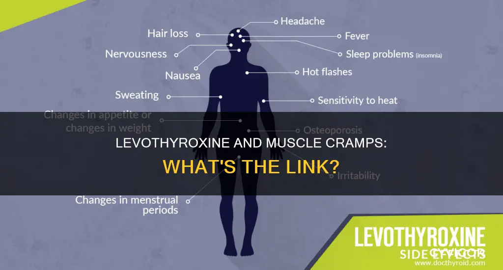 does levothyroxine cause muscle cramps