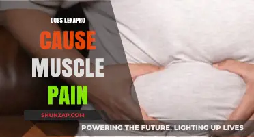 Lexapro and Muscle Pain: What's the Link?