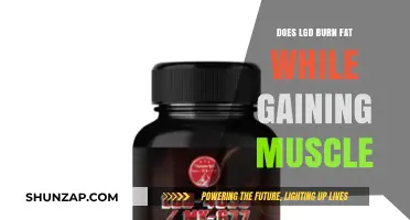 LGD-4033: Can It Burn Fat While Building Muscle Effectively?