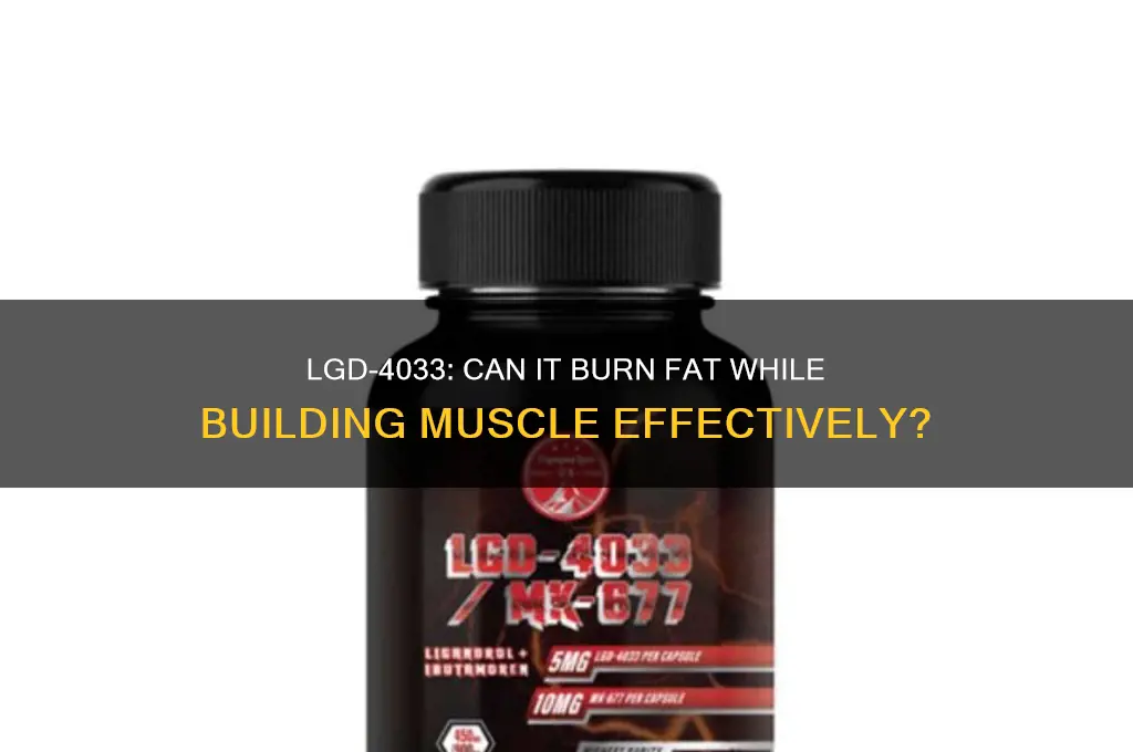 does lgd burn fat while gaining muscle