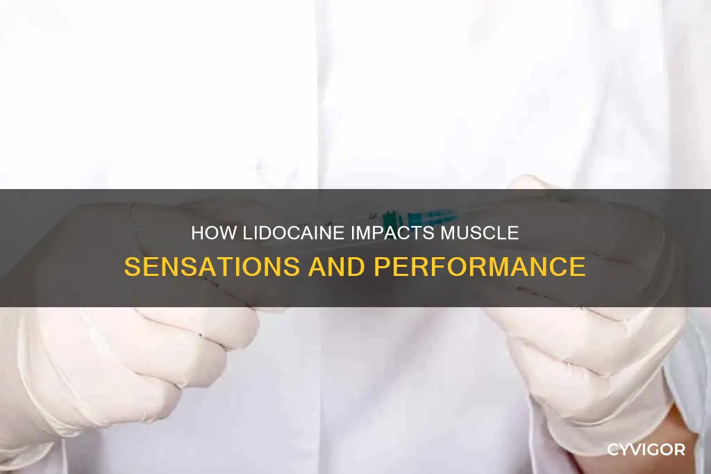 does lidocaine numb muscles