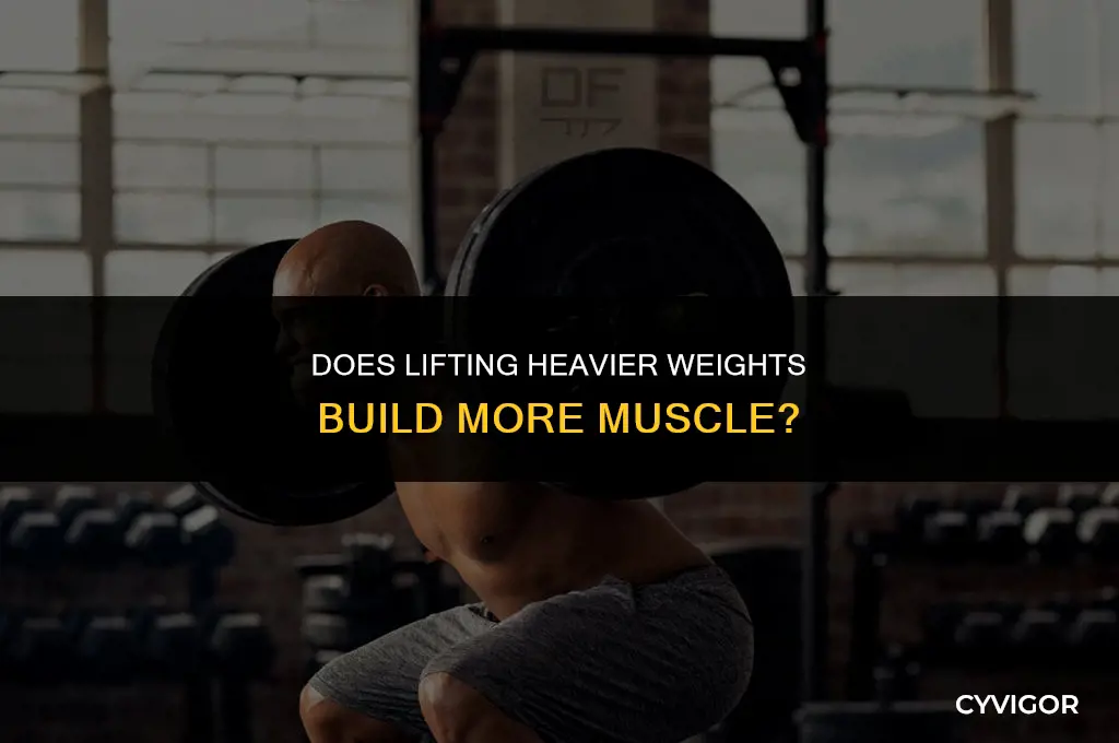 does lifting heavier build more muscle