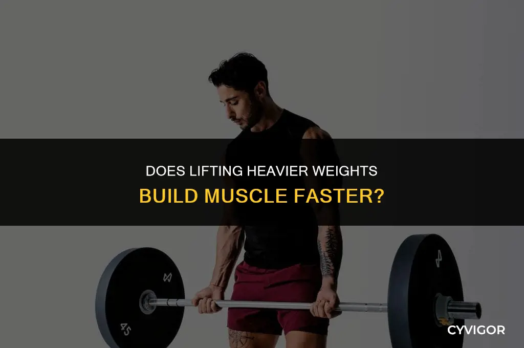 does lifting heavier weights build muscle faster