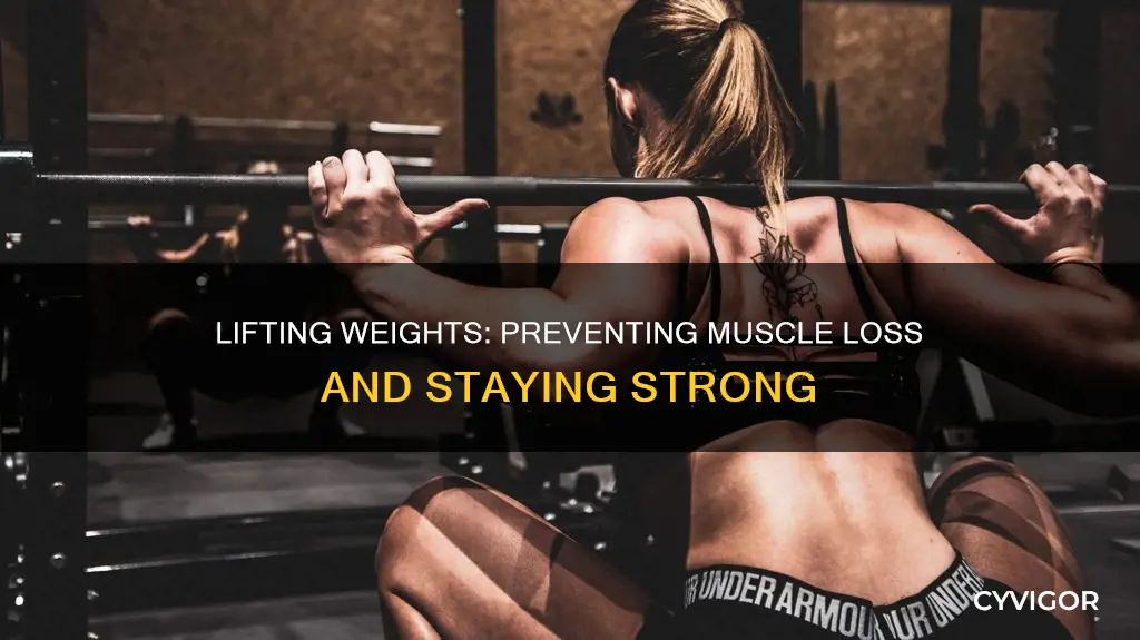 does lifting prevent muscle loss