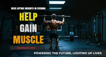 Evening Weight Lifting: Effective for Muscle Gain or Myth?