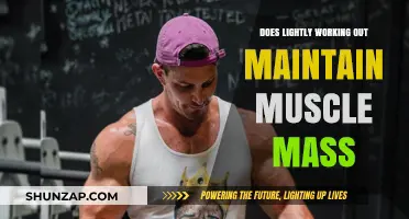 Lightly Working Out: Can It Effectively Maintain Muscle Mass?
