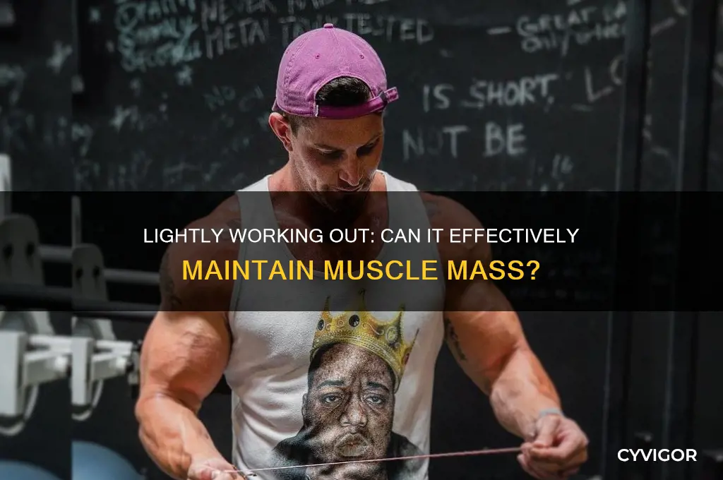 does lightly working out maintain muscle mass