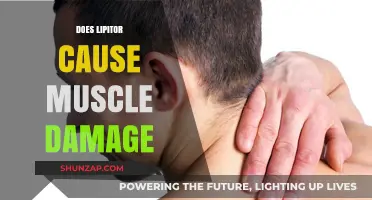 Lipitor's Muscle Damage: What You Need to Know