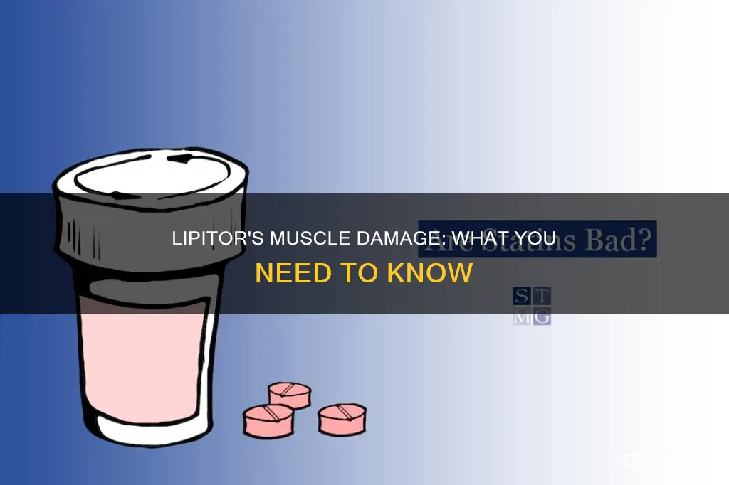 does lipitor cause muscle damage