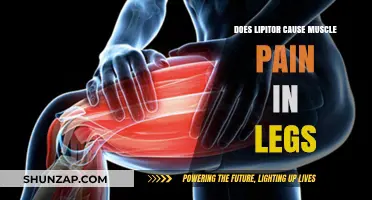 Lipitor's Link to Leg Pain: What You Need to Know