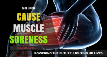 Lipitor and Muscle Pain: What's the Link?