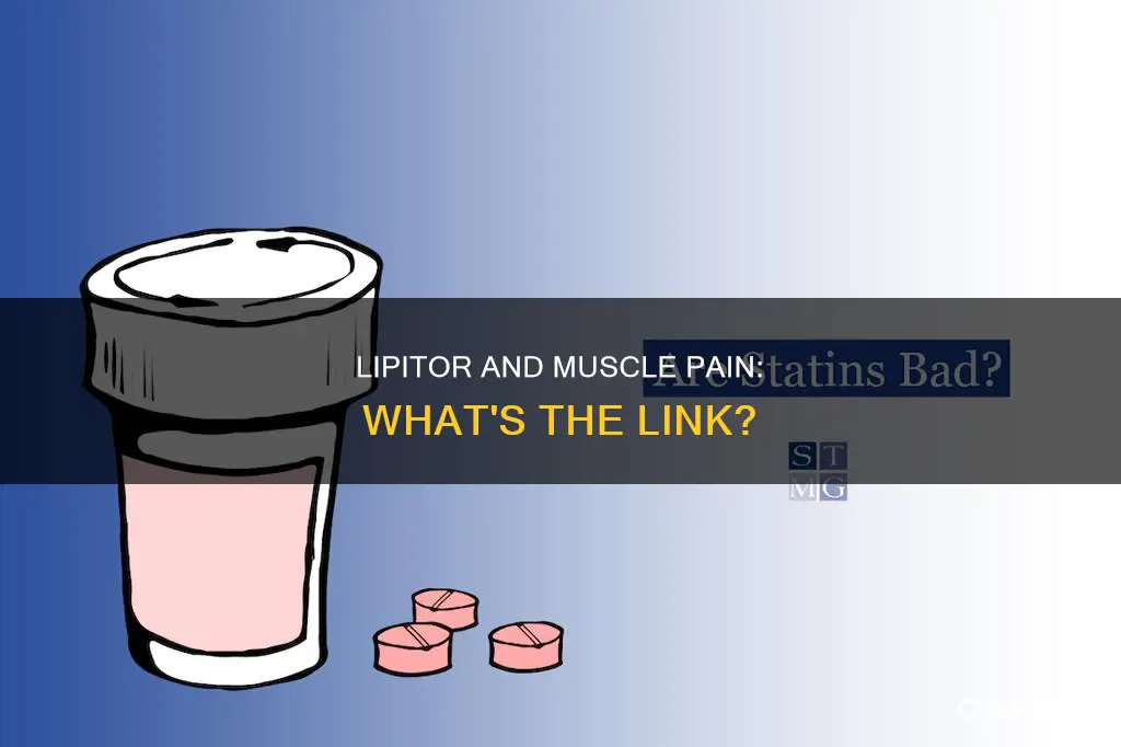 does lipitor cause muscle soreness