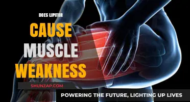Lipitor's Side Effects: Muscle Weakness and You