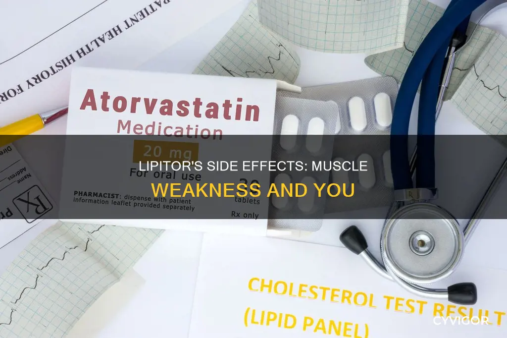 does lipitor cause muscle weakness
